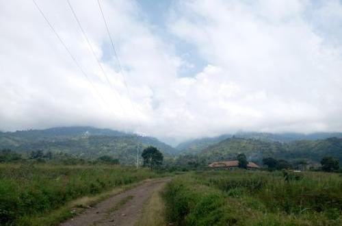 IMG-20220316-WA0122.jpg