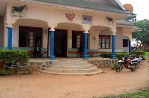 <p>Mambasa : Découverte d’un corps sans vie décapité dans la chefferie Babila-Bakwanza</p>

