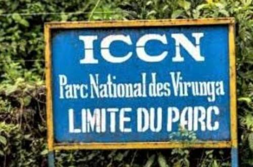 <p>Conflit entre l’ICCN et la population riveraine du PNVi à Kasindi, un compromis temporel trouvé</p>
