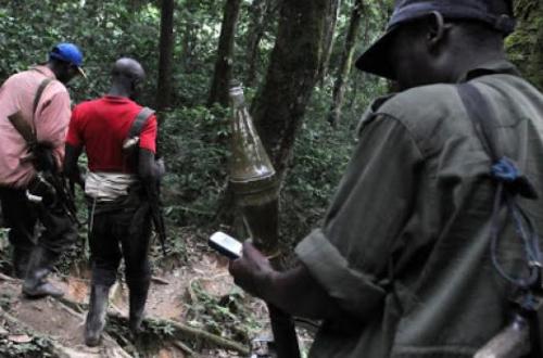 <p>Les éléments ADF sont en mouvement dans la profondeur des forêts de Mambasa alerte CODEPEF</p>
