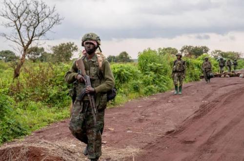 Agression de la RDC par le Rwanda : Un impact socio-économique sur la population du Nord-Kivu