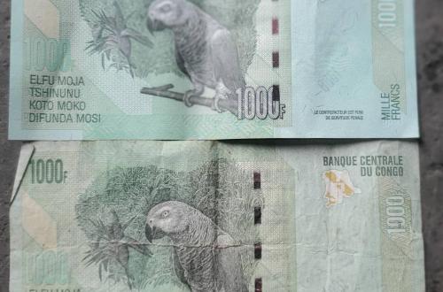 Goma : des faux billets de 1 000 CDF en circulation