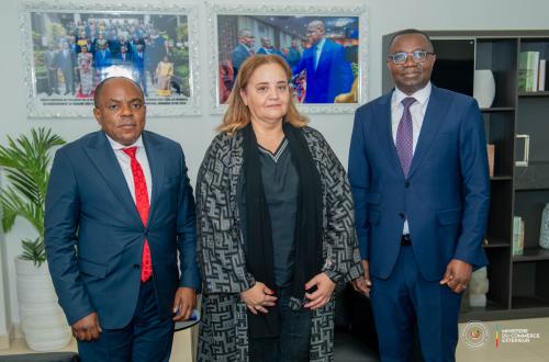 Kinshasa abrite bientôt le forum économique sur la création d’une centrale d’achat des matériaux de construction