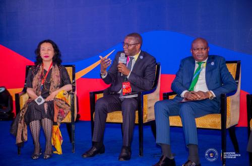 La RDC met en valeur ses atouts économiques devant des investisseurs chinois