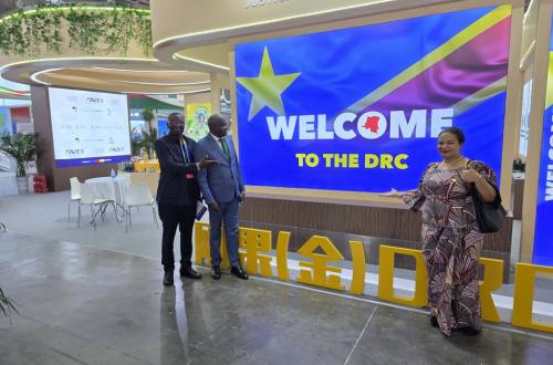 Exploitation du fer dans la Tshopo : la RDC présente à la Chine les nouvelles opportunités