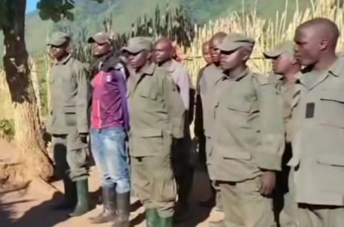 Sud-Kivu : 17 combattants Twirwaneho-M23 remis aux FARDC après leur  reddition à Minembwe