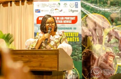 RDC/Révision de l’avant-projet de loi portant Code forestier : Marie Nyange lance les travaux de la deuxième session du CCNF