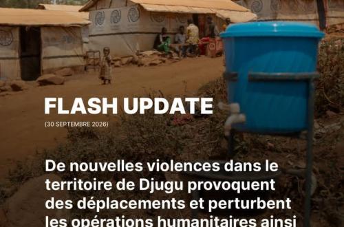 Ituri : de nouvelles violences dans le territoire de Djugu provoquent 5 000 déplacés et paralysent la riposte contre Ebola
