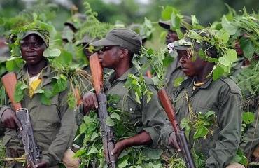 Nord-Kivu : Un éco-garde tué lors de l'attaque perpétrée par les Maï-Maï à Kabasha