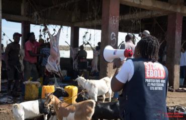 Bunia : l'INSP déploie l'approche « Une Santé » contre Ebola à l'abattoir