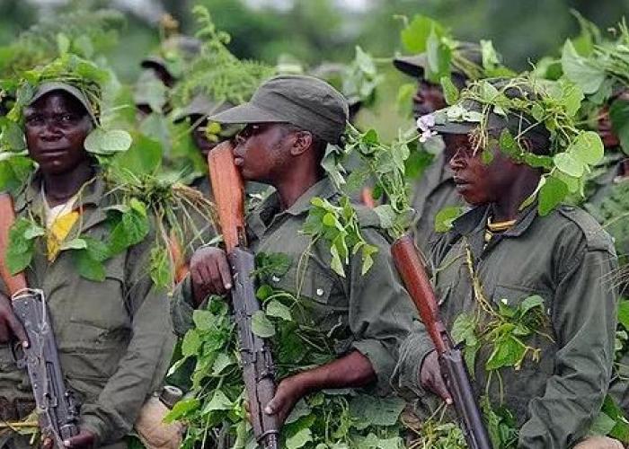 Nord-Kivu : Un éco-garde tué lors de l'attaque perpétrée par les Maï-Maï à Kabasha