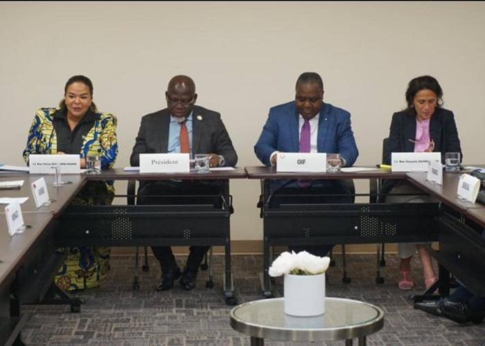 La RDC défend ses priorités au Conseil de Sécurité devant les ambassadeurs francophones à New-York
