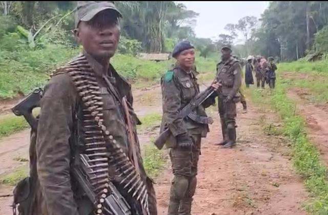 Mambasa : les FARDC reprennent le contrôle de l’axe Nduye–Dingbo
