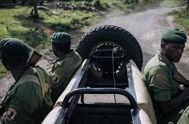 Nord-Kivu : 2 écogardes tués dans une attaque armée au Parc des Virunga