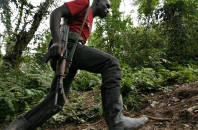 Mambasa : cinq cultivateurs enlevés par des présumés ADF à Kitengi