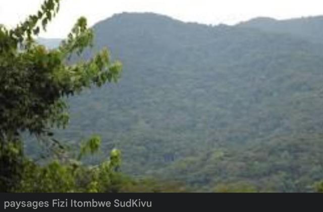 Sud-Kivu : affrontements à Kalingi entre les FARDC et les combattants du MRDP-Twirwaneho/AFC-M23