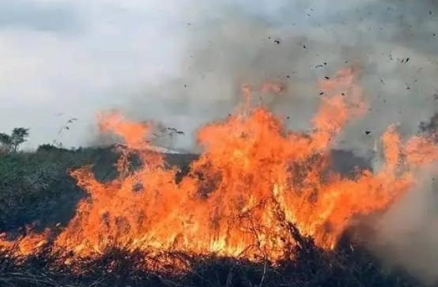 Drame au Kwilu : trois enfants mineurs trouvent la mort  dans un feu de brousse