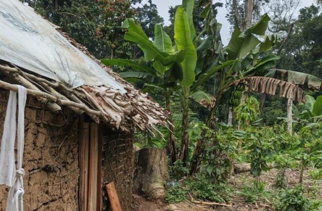 Ituri : plus de 40 civils enlevés en une semaine à Mambasa, la piste des ADF privilégiée