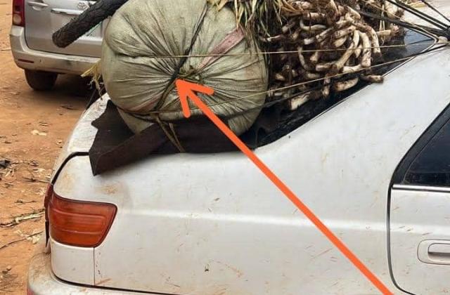 Mambasa : l’armée intercepte un nouveau chargement de munitions de guerre