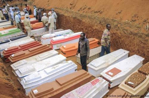 <p>Kk</p>
