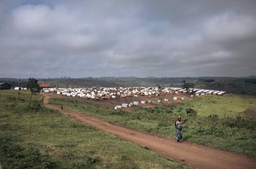 2A08D717-F1D8-43ED-A840-718612977AAB.jpeg