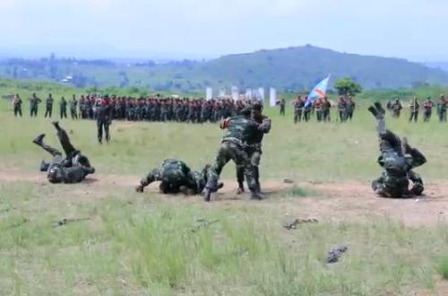 <p>L’AVRP du ministre Nzangi insiste sur la nécessité d’organiser et de structurer urgemment l’autodéfense sous l’encadrement de l’État</p>
