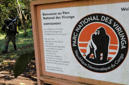 <p>Près des fronts de Rutshuru, la nouvelle centrale hydroélectrique du parc des Virunga visée par une attaque à l’artillerie lourde</p>
