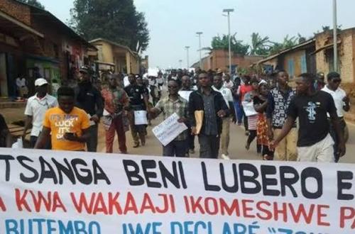 <p>Le VPM Aselo affirme que la marche de la Veranda Mutsanga pour exiger le départ de la MONUSCO sera encadrée par la police</p>
