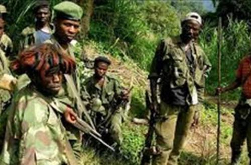 <p>Les éléments ADF sont en mouvement dans la profondeur des forêts de Mambasa alerte CODEPEF</p>
