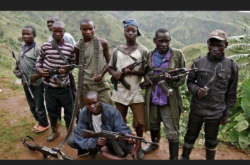 <p>Deux combattants maï maï neutralisés et des flèches récupérées par l’armée à Bashu</p>
