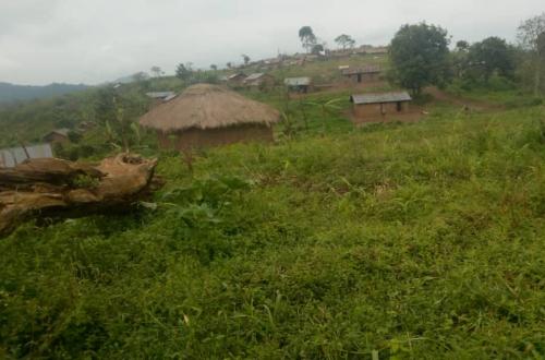 <p>Quatre personnes d’une même famille prises en otage par des combattants FDLR dans la localité Kisharo</p>

