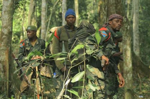 <p>Sept personnes dont cinq civils morts dans une attaque des ADF à Bulongo</p>
