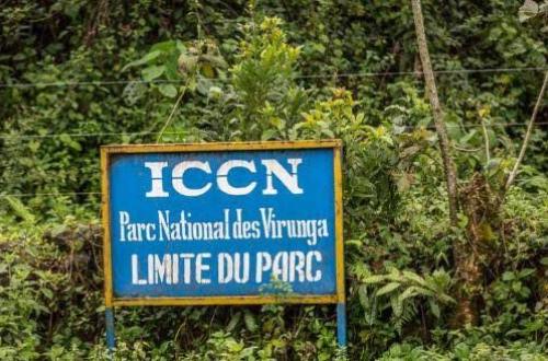 <p>Les FARDC enquêtent sur les limites entre le parc national de Virunga et le territoire de Masisi</p>
