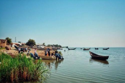 <p>Un pêcheur happé par un crocodile sur le lac Édouard à Vitshumbi</p>
