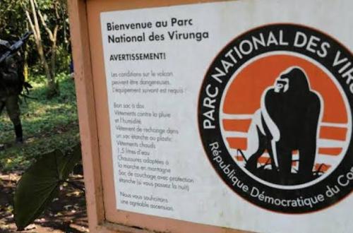 <p>Des éco-gardes du PNVi tuent un homme et blessent un autre à Kasindi</p>
