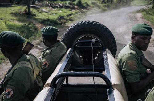 <p>Mort d’un homme impliquant des éco-gardes du Parc des Virunga à Kasindi : les gardes en patrouille ont été attaqués à l’arme blanche, affirme l’ICCN</p>
