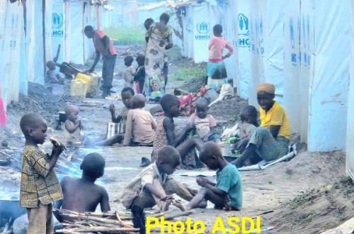 <p>L’ONG ASDI alerte : “la situation des déplacés qui ont fui les combats entre les FARDC et le M23 à Rusthuru nécessite une assistance humanitaire urgente”</p>
