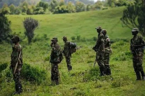 <p>Reprise des affrontements entre FARDC et M23 : Kigali réagit et condamne les attaques contre le groupe rebelle</p>
