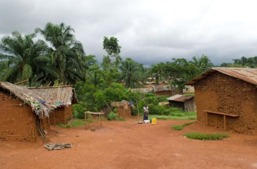 <p>Un dimanche Sanglant à Banyali-Tchabi, au moins 14 Civils tués par les ADF</p>
