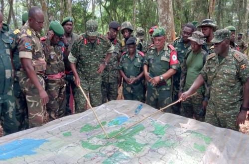 Ituri : Le chef de secteur des Bahema-Sud demande le déploiement de la force conjointe FARDC-UPDF