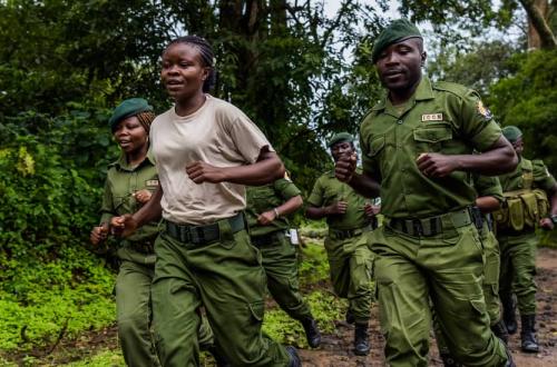 Nord-Kivu : Deux éco-gardes tués et un autre blessé par des présumés miliciens Maï-Maï à Chondo