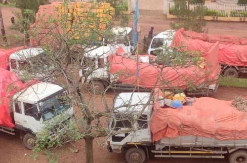 <p>Échauffourées entre manifestants et Police à Butembo : Des pillages de l’assistance destinée aux déplacés signalés</p>
