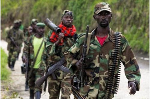 RDC : “La coalition RDF/M23 continue à se renforcer en hommes et en matériels pour maintenir l'insécurité sur le sol Congolais” (Conseil des Ministres)