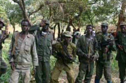 Beni : Trois combattants ADF se sont rendus aux FARDC à Museya