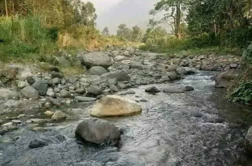 Un corps sans vie d'un enfant de moins de deux ans retrouvé dans une rivière en secteur Ruwenzori