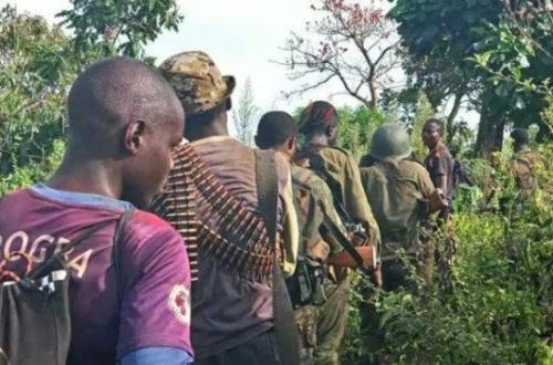 RDC: Pour la Lucha, la légalisation des milices locales comme stratégie de sécurisation est "une approche dangereuse et irresponsable"