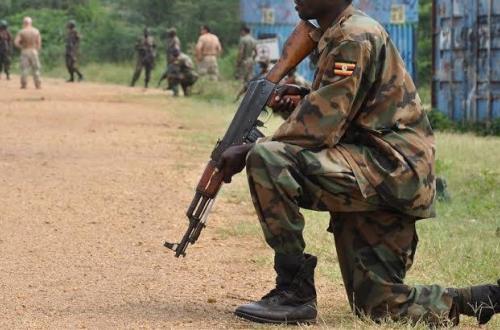 Nord-Kivu : La coalition FARDC-UPDF neutralise trois leaders ADF de nationalité Ougandaise, Burundaise et kényane