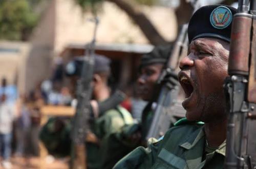 RDC : Pour renforcer ses capacités militaires, l’armée régulière pourra recourir aux réservistes