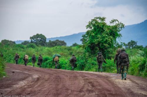Insécurité dans l'Est de la RDC : “Un renforcement de plusieurs positions par les terroristes RDF/M23 observé depuis le 16 avril dernier” (Ministre de la Défense)