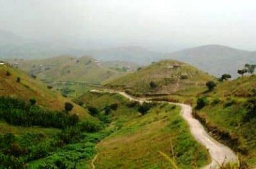 Beni : Une embuscade déjouée par l'armée à Karuruma
